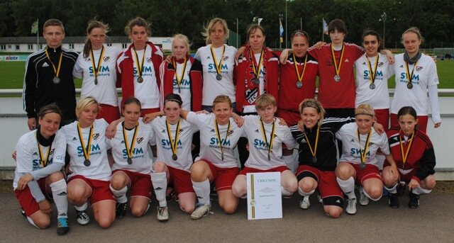 2013 LM zweiter