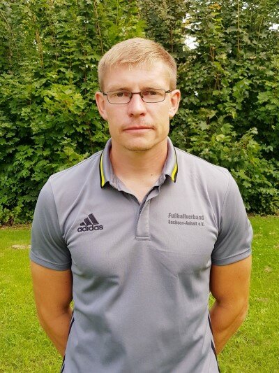 2017 scheler steffen
