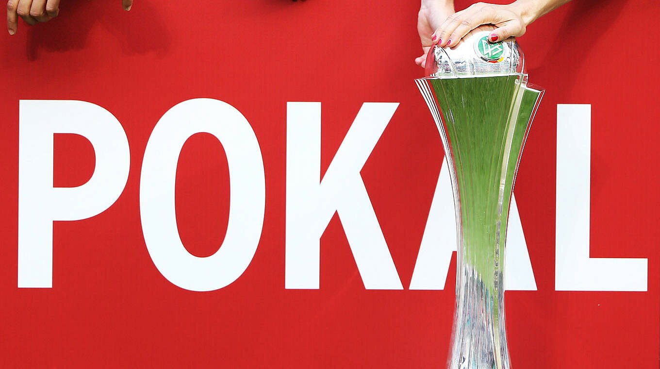 logo dfb pokal 2014